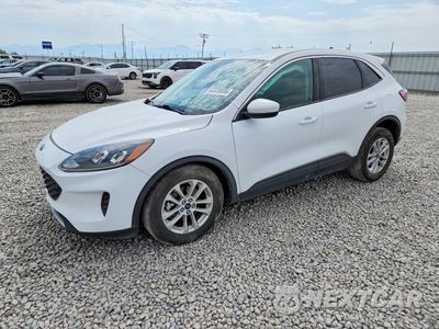 2020 FORD ESCAPE SE 1FMCU0G6XLUA25041 - główne zdjęcie licytacji z USA - miniatura