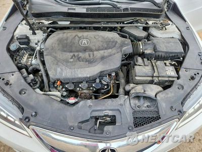 Zdjęcie 11 z 12 samochodu: 2015 ACURA TLX TECH VIN:19UUB2F59FA012775 - miniatura