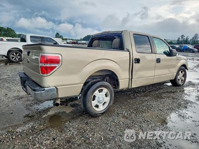 Trzecie zdjęcie samochodu z tyłu: 2010 FORD F150 SUPERCREW VIN:1FTEW1C89AFA60451 - miniatura