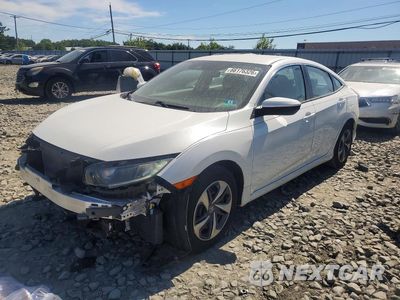 2020 HONDA CIVIC LX 2HGFC2F60LH540961 - główne zdjęcie licytacji z USA - miniatura
