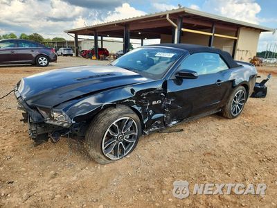 2014 FORD MUSTANG GT 1ZVBP8FF8E5332919 - główne zdjęcie licytacji z USA - miniatura