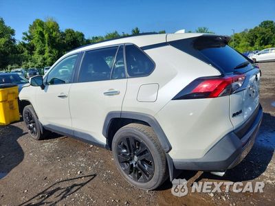 Drugie zdjęcie samochodu z przodu: 2019 TOYOTA RAV4 LIMITED VIN:JTMN1RFV2KD506192 - miniatura