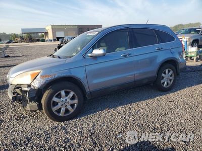 2007 HONDA CR-V EXL JHLRE48727C036396 - główne zdjęcie licytacji z USA - miniatura