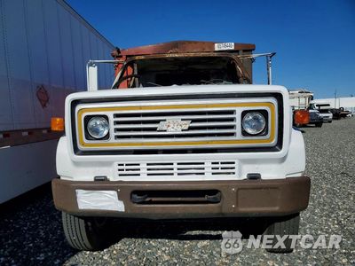 Piąte zdjęcie samochodu w środku: 1981 CHEVROLET C7 GRAIN TRUCK VIN:1GBL7D1EXBV131327 - miniatura