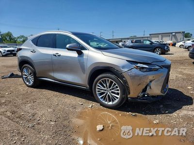 Czwarte zdjęcie samochodu z boku: 2024 LEXUS NX 350 LUXURY VIN:2T2HGCEZ2RC053465 - miniatura