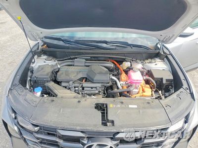Zdjęcie 12 z 13 samochodu: 2025 HYUNDAI TUCSON SEL CONVENIENCE VIN:KM8JCDD13SU277089 - miniatura