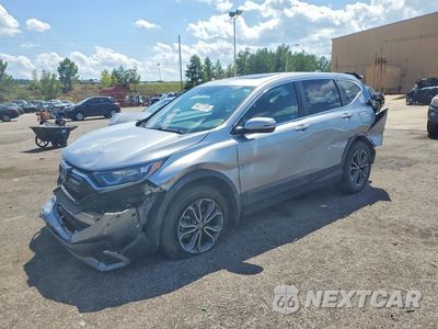 2022 HONDA CR-V EX 7FARW2H51NE041140 - główne zdjęcie licytacji z USA - miniatura
