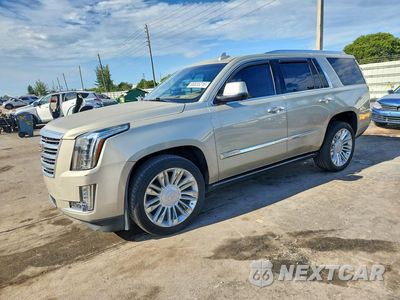 2016 CADILLAC ESCALADE PLATINUM 1GYS3DKJ6GR253689 - główne zdjęcie licytacji z USA - miniatura