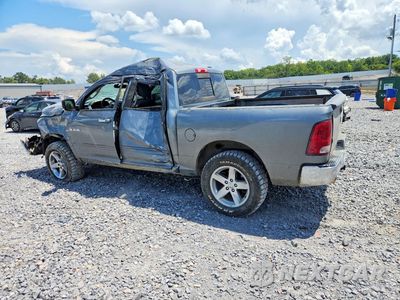Drugie zdjęcie samochodu z przodu: 2010 DODGE RAM 1500 VIN:1D7RV1CT7AS187463 - miniatura