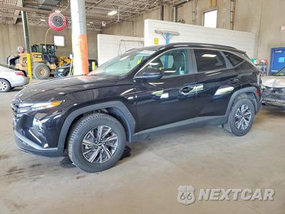 2024 HYUNDAI TUCSON BLUE KM8JBCD13RU241443 - główne zdjęcie licytacji z USA - miniatura