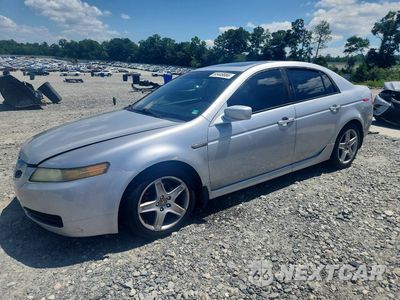 2004 ACURA TL 19UUA66274A031709 - główne zdjęcie licytacji z USA - miniatura