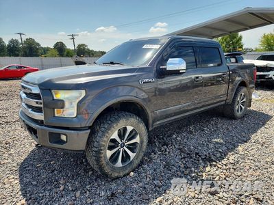 2015 FORD F150 SUPERCREW 1FTEW1EP3FFA97359 - główne zdjęcie licytacji z USA - miniatura