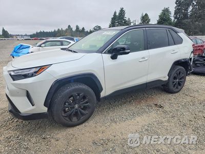 2024 TOYOTA RAV4 XSE JTME6RFV8RJ052480 - główne zdjęcie licytacji z USA - miniatura