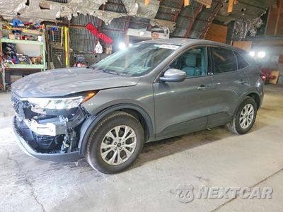2024 FORD ESCAPE ACTIVE 1FMCU9GN9RUA16917 - główne zdjęcie licytacji z USA - miniatura