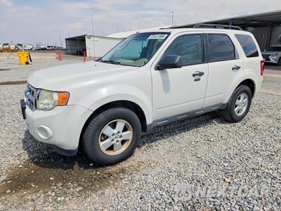 2009 FORD ESCAPE XLT 1FMCU03G79KA08409 - główne zdjęcie licytacji z USA - miniatura