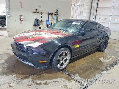 2012 FORD MUSTANG GT 1ZVBP8CF8C5274909 - główne zdjęcie licytacji z USA - miniatura