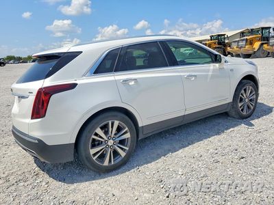 Trzecie zdjęcie samochodu z tyłu: 2021 CADILLAC XT5 PREMIUM LUXURY VIN:1GYKNCRS7MZ113939 - miniatura