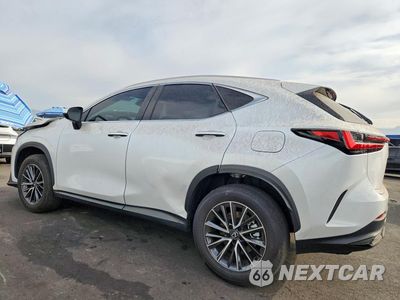 Drugie zdjęcie samochodu z przodu: 2025 LEXUS NX 250 PREMIUM VIN:JTJGDCEZ8S5001329 - miniatura