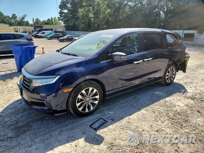 2024 HONDA ODYSSEY EXL 5FNRL6H68RB056681 - główne zdjęcie licytacji z USA - miniatura