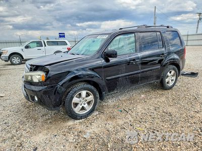 2011 HONDA PILOT EXLN 5FNYF4H79BB018981 - główne zdjęcie licytacji z USA - miniatura