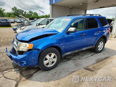 2011 FORD ESCAPE XLT 1FMCU0D76BKA57993 - główne zdjęcie licytacji z USA - miniatura