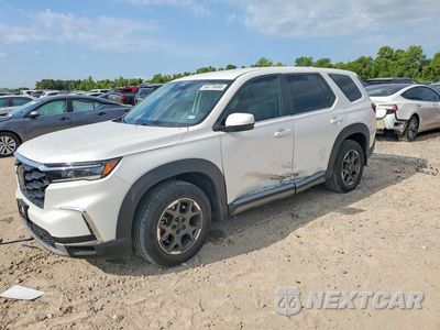 2024 HONDA PILOT EXL 5FNYG2H42RB007323 - główne zdjęcie licytacji z USA - miniatura