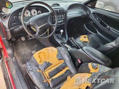 Zdjęcie 8 z 12 samochodu: 1997 FORD MUSTANG COBRA VIN:1FALP47VXVF203697 - miniatura