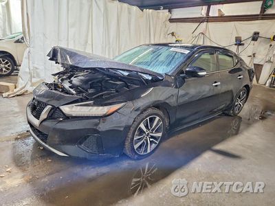 2019 NISSAN MAXIMA 3.5 SV 1N4AA6AV6KC375784 - główne zdjęcie licytacji z USA - miniatura