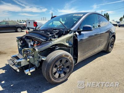 2026 TESLA MODEL Y 7SAYGDED2TA600770 - główne zdjęcie licytacji z USA - miniatura