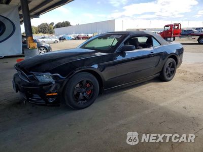 2013 FORD MUSTANG 1ZVBP8EM1D5203919 - główne zdjęcie licytacji z USA - miniatura