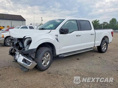 2024 FORD F150 XLT 1FTFW3L58RKE22956 - główne zdjęcie licytacji z USA - miniatura