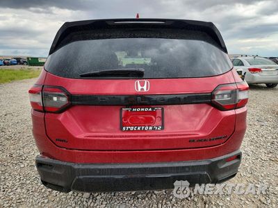 Zdjęcie 6 z 12 samochodu: 2026 HONDA PILOT BLACK EDITION VIN:5FNYG1H90TB023145 - miniatura