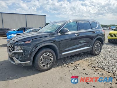 2023 HYUNDAI SANTA FE BLUE 5NMS2DA1XPH012118 - główne zdjęcie licytacji z USA - miniatura