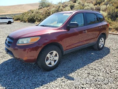 2009 HYUNDAI SANTA FE GLS 5NMSG13D99H288428 - główne zdjęcie licytacji z USA - miniatura