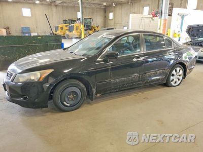 2010 HONDA ACCORD EXL 5KBCP3F87AB006163 - główne zdjęcie licytacji z USA - miniatura