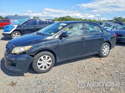 2010 TOYOTA COROLLA LE 2T1BU4EE5AC373955 - główne zdjęcie licytacji z USA - miniatura