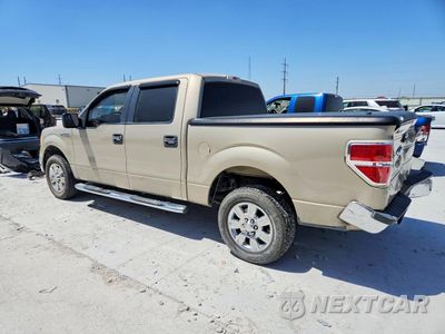 Drugie zdjęcie samochodu z przodu: 2009 FORD F150 SUPERCREW VIN:1FTRW12829FB26076 - miniatura