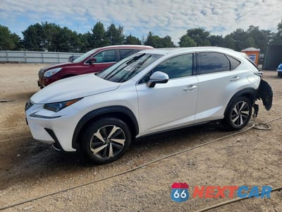 2019 LEXUS NX 300 BASE JTJBARBZ8K2187207 - główne zdjęcie licytacji z USA - miniatura