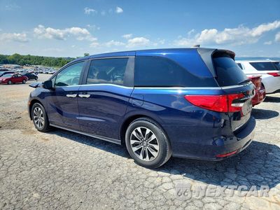Drugie zdjęcie samochodu z przodu: 2024 HONDA ODYSSEY EXL VIN:5FNRL6H66RB031956 - miniatura