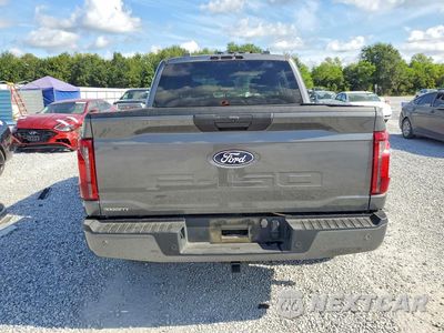 Zdjęcie 6 z 13 samochodu: 2024 FORD F150 STX VIN:1FTEW2KP2RKD53996 - miniatura