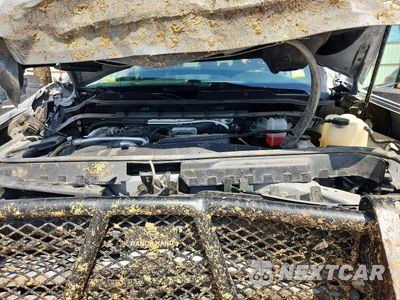 Zdjęcie 11 z 12 samochodu: 2025 CHEVROLET SILVERADO K2500 CUSTOM VIN:2GC4KMEY7S1132486 - miniatura