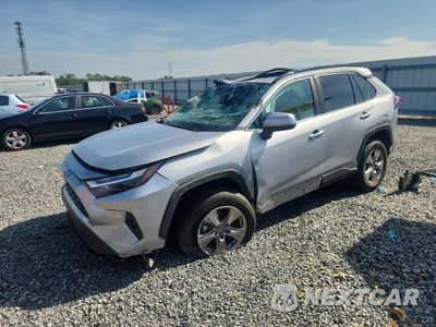 2025 TOYOTA RAV4 XLE 2T3W1RFV5SC325595 - główne zdjęcie licytacji z USA - miniatura