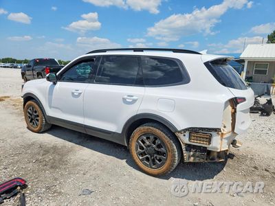 Drugie zdjęcie samochodu z przodu: 2025 KIA TELLURIDE SX-PRESTIGE X-PRO VIN:5XYP5DGC9SG627655 - miniatura