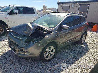 2014 FORD ESCAPE SE 1FMCU0GX1EUC30534 - główne zdjęcie licytacji z USA - miniatura