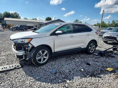 2019 FORD EDGE SEL 2FMPK4J94KBB98317 - główne zdjęcie licytacji z USA - miniatura