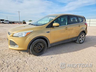 2015 FORD ESCAPE SE 1FMCU0G97FUB20543 - główne zdjęcie licytacji z USA - miniatura