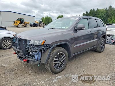 2020 JEEP GRAND CHEROKEE TRAILHAWK 1C4RJFLG3LC347258 - główne zdjęcie licytacji z USA - miniatura