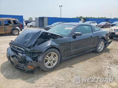2014 FORD MUSTANG 1ZVBP8AM3E5319811 - główne zdjęcie licytacji z USA - miniatura