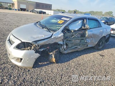 2010 TOYOTA COROLLA LE 1NXBU4EE7AZ330975 - główne zdjęcie licytacji z USA - miniatura