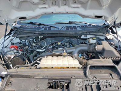 Zdjęcie 11 z 12 samochodu: 2024 FORD F150 XL VIN:1FTEW1LP3RKF64732 - miniatura